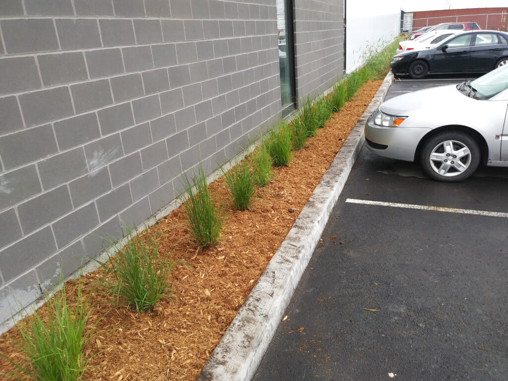 Aménagement de plate bande sur un bâtiment commercial
